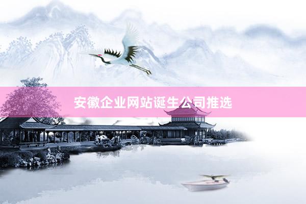 安徽企业网站诞生公司推选